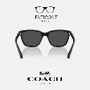 imgi_18_imgi_19_Diseño sin título - 2025-07-05T143943.429.webp