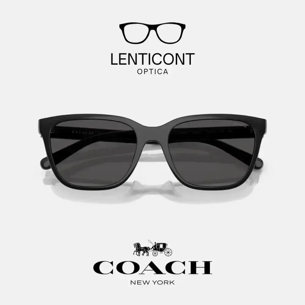 imgi_19_imgi_20_Diseño sin título - 2025-07-05T143929.242.webp