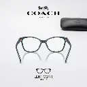 imgi_17_imgi_18_Sin título (1000 x 1000 px) (18).webp