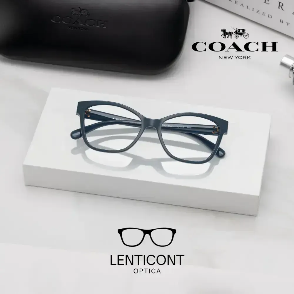 imgi_18_imgi_19_Diseño sin título - 2025-09-01T231516.561.webp