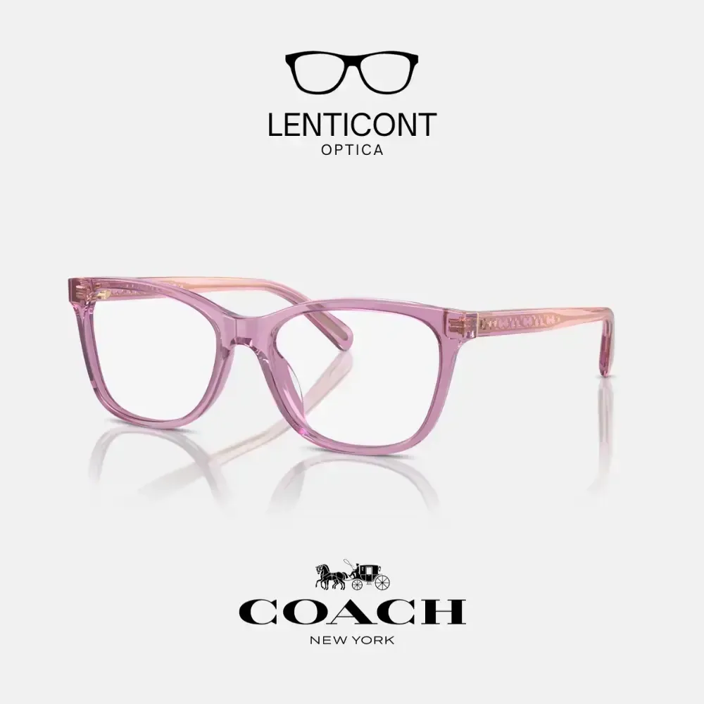 imgi_15_imgi_16_Diseño sin título - 2025-05-19T140803.748.webp