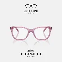 imgi_16_imgi_17_Diseño sin título - 2025-05-19T141644.449.webp