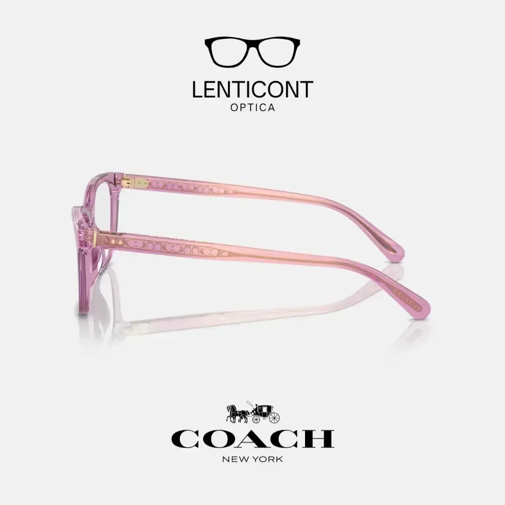 imgi_17_imgi_18_Diseño sin título - 2025-05-19T141614.649.webp