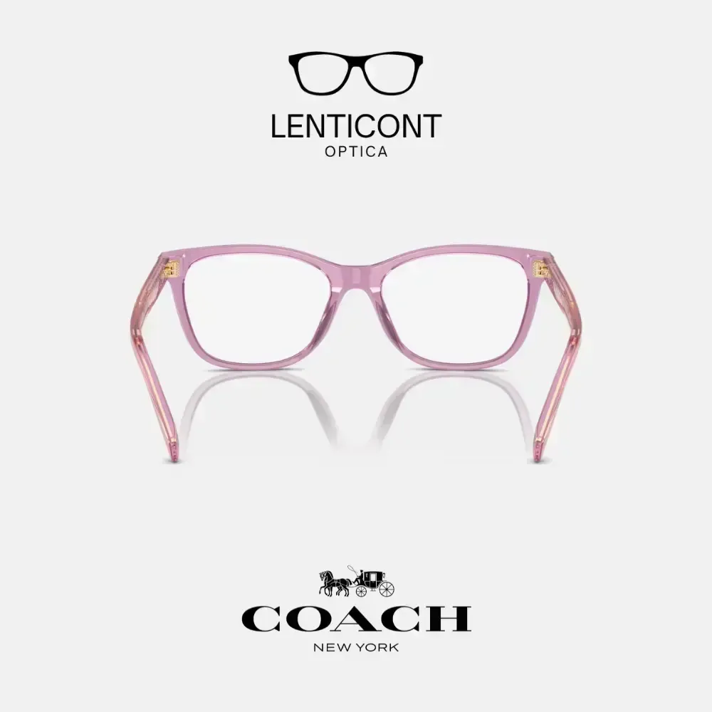 imgi_18_imgi_19_Diseño sin título - 2025-05-19T141629.342.webp