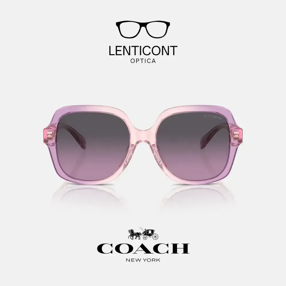 imgi_16_imgi_17_Diseño sin título - 2025-05-19T140010.937.webp