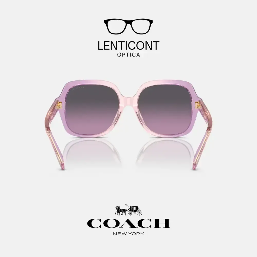 imgi_18_imgi_19_Diseño sin título - 2025-05-19T135956.447.webp