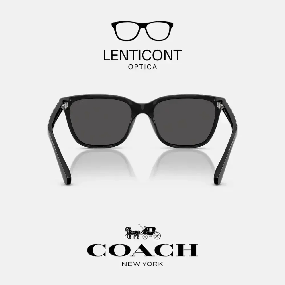 imgi_18_imgi_19_Diseño sin título - 2025-07-05T143943.429.webp